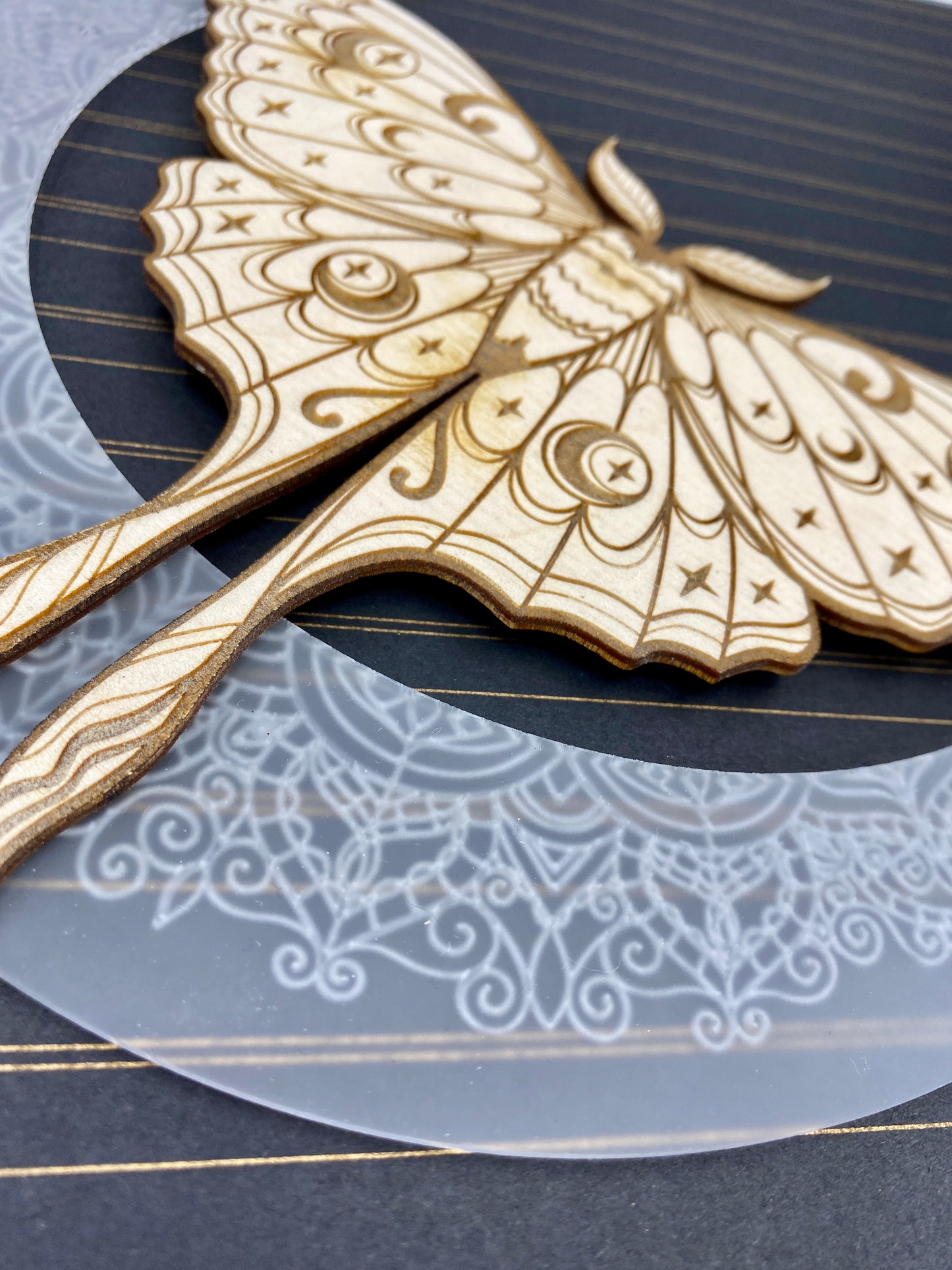 Luna Moth Mixed Media Sign