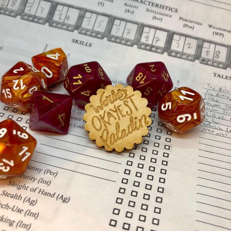 D&D Pin World's Okayest Paladin Pin